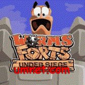 game pic for 3D Worms Forts